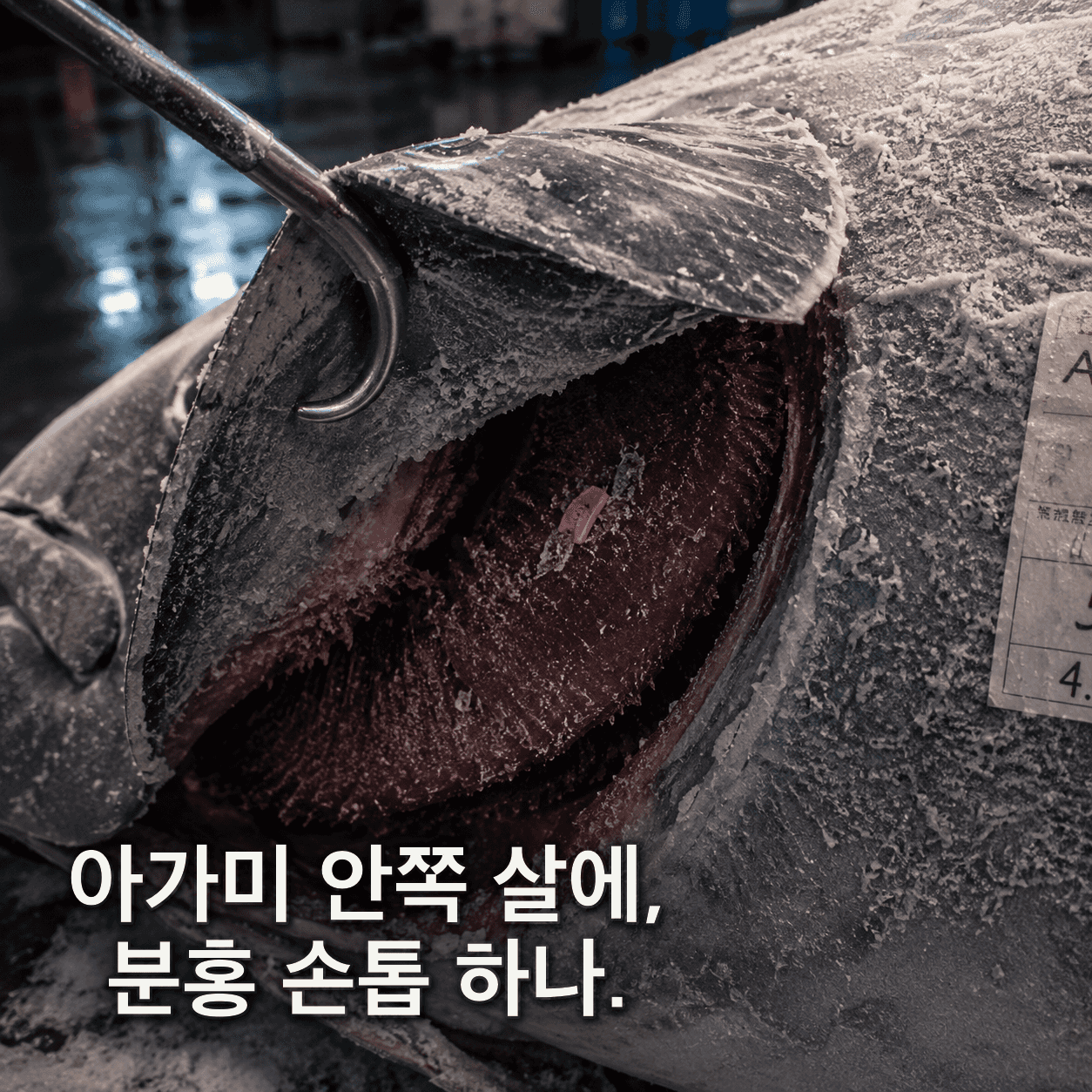단서 이미지 1