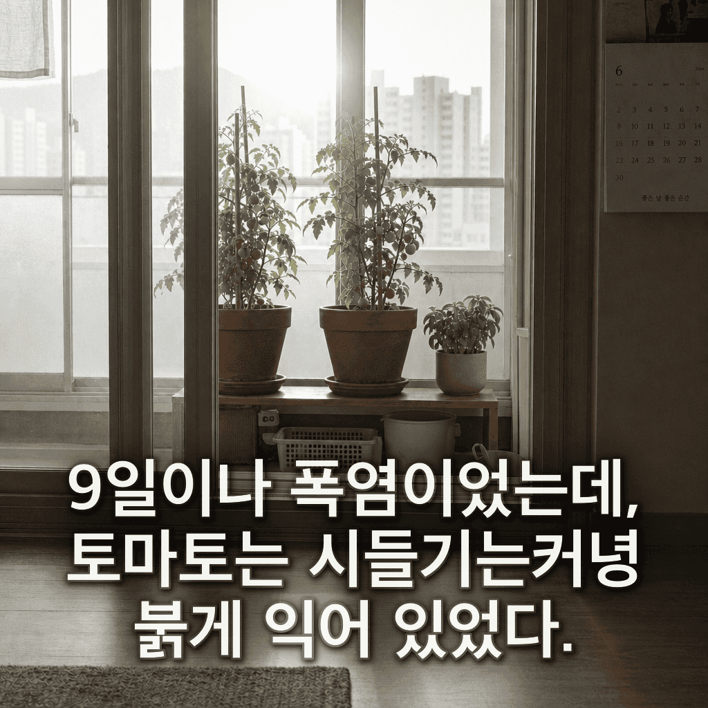 단서 이미지 3