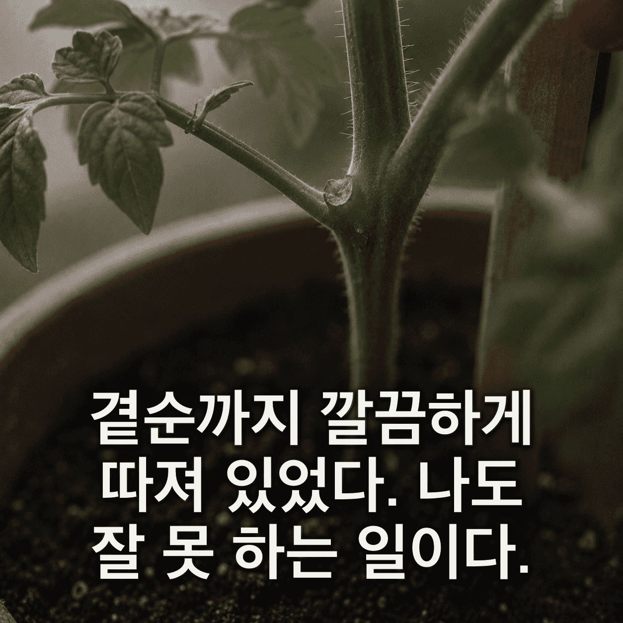 단서 이미지 4