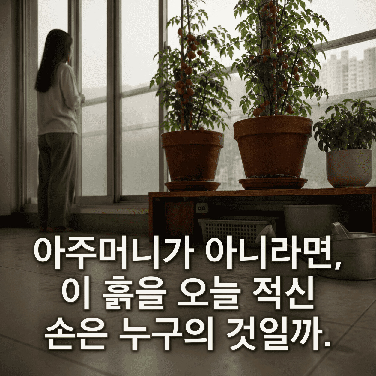 단서 이미지 6