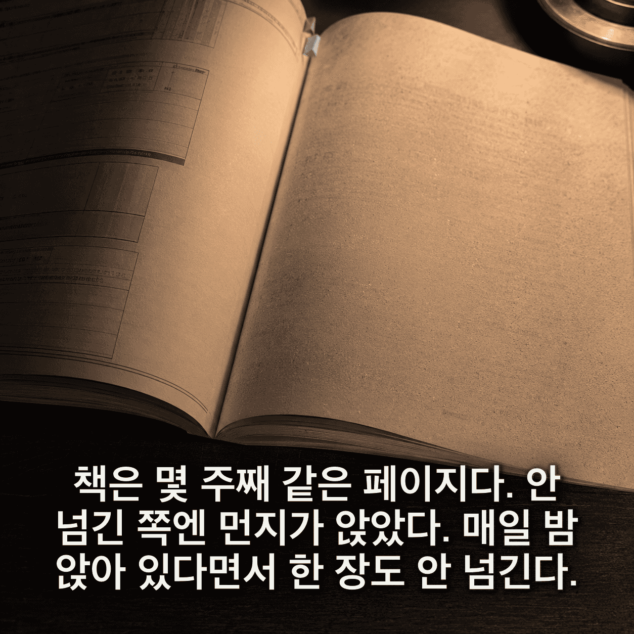 단서 이미지 5