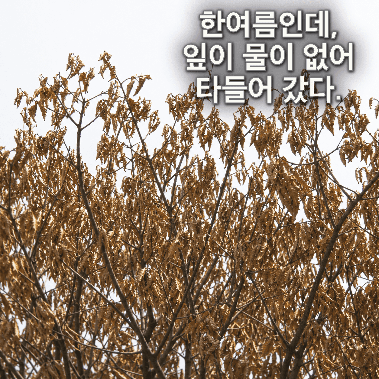 단서 이미지 2