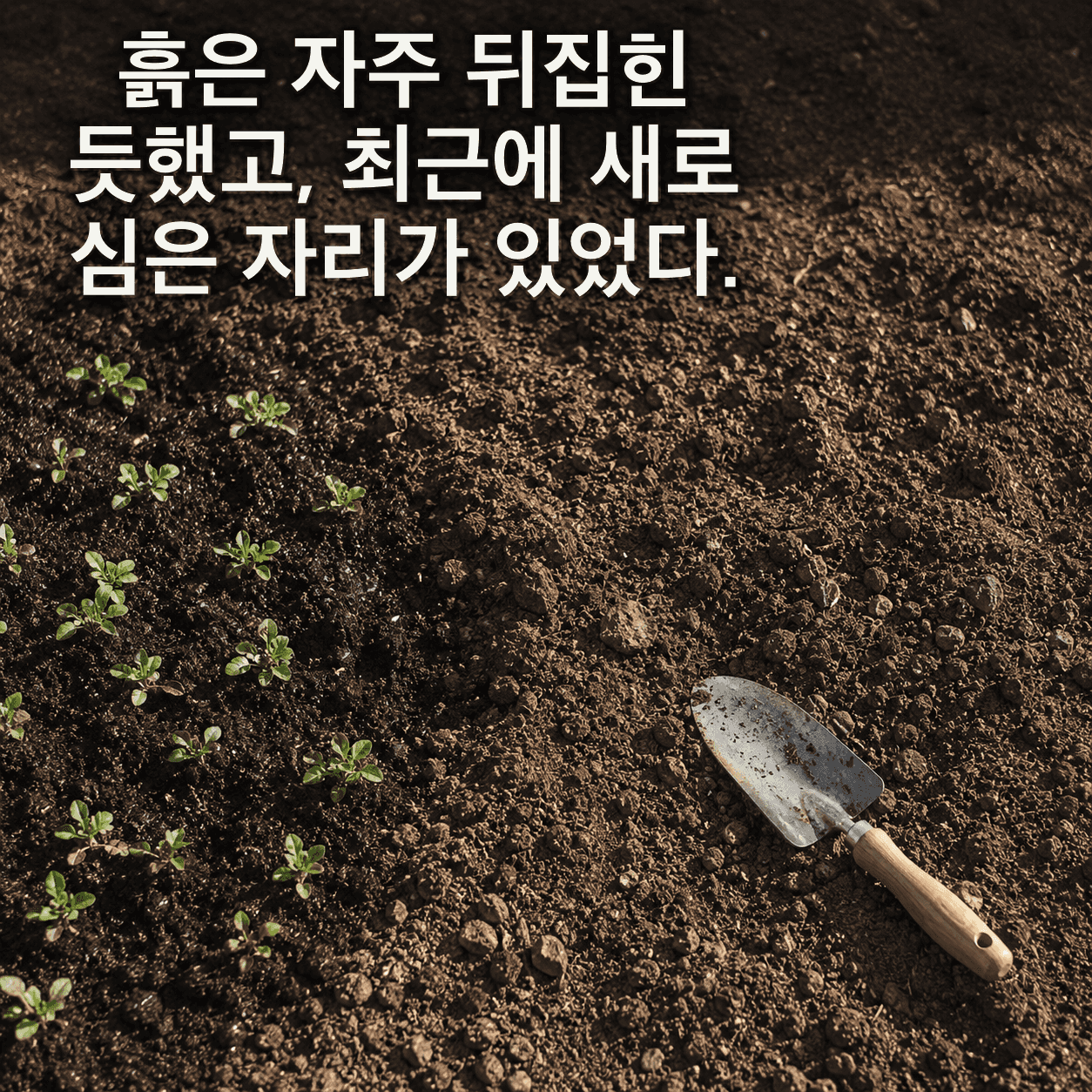 단서 이미지 4
