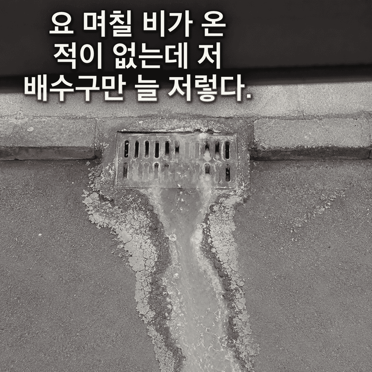단서 이미지 3
