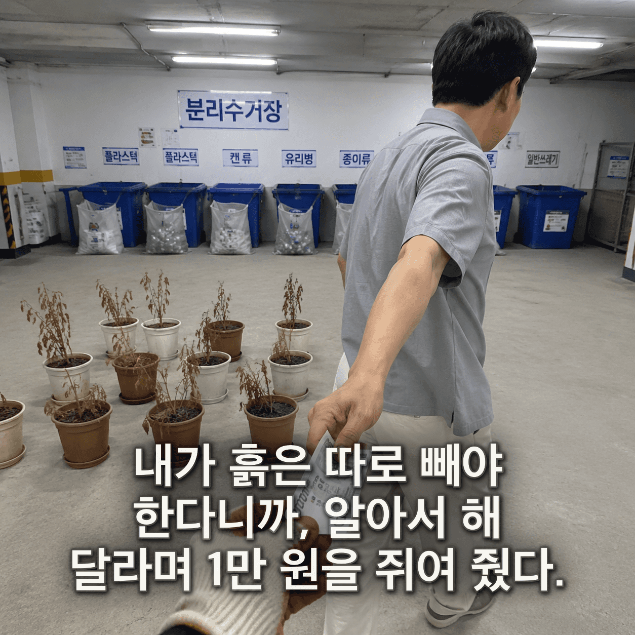 단서 이미지 0